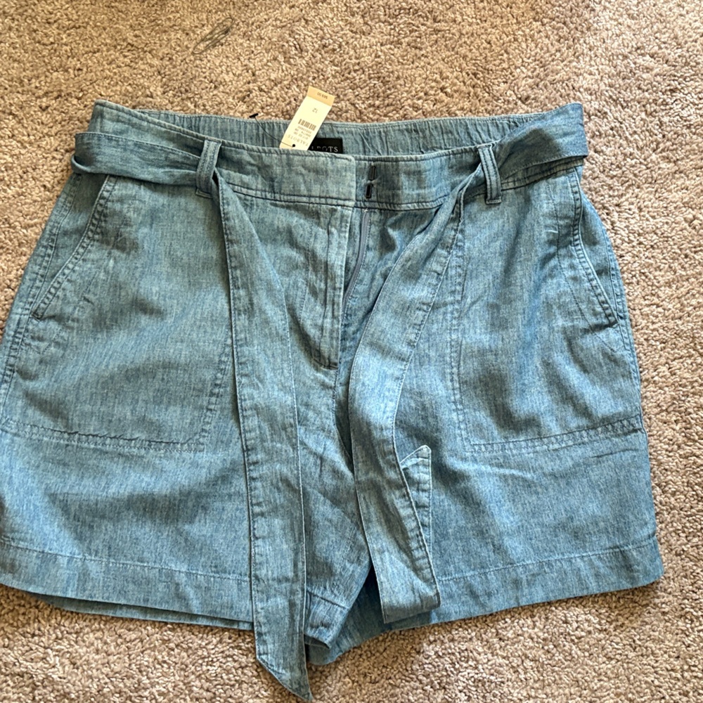 Talbots Blue Women's Shorts